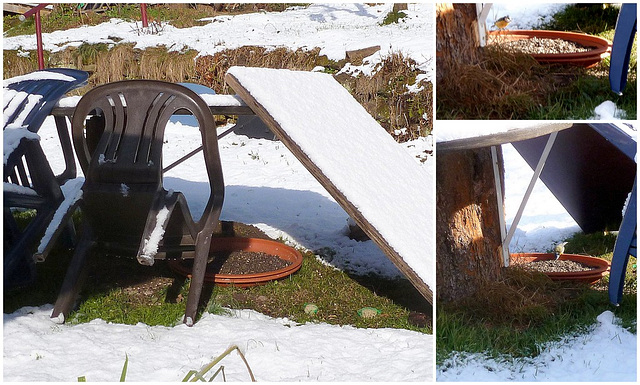 Mein Vogelfutterplatz im Winter - mia vintra birdonutrejo Mein Vogelfutterplatz im Winter - mia vintra birdonutrejo