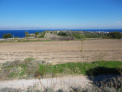 Plateau sommital de l'acropole de Rhodes.