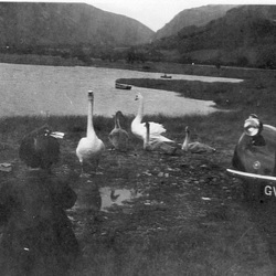 With my parents on a journey - feeding swans