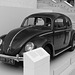 A Beetle at the British Museum (2M) - 10 October 2014