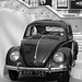 A Beetle at the British Museum (5M) - 10 October 2014