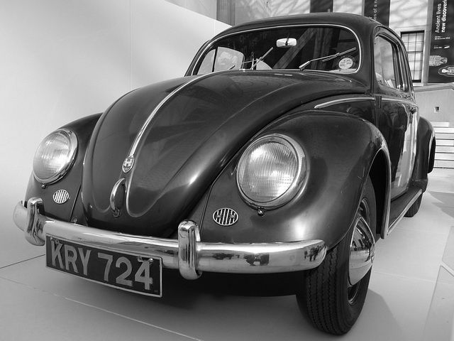 A Beetle at the British Museum (7M) - 10 October 2014