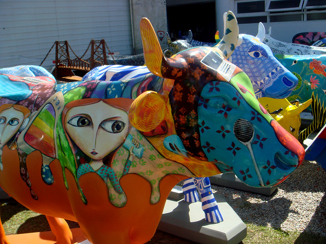 DSC03795 DSC03795