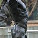Marsyas (Torso of the 'Falling Man') by Rodin at LACMA (8244)
