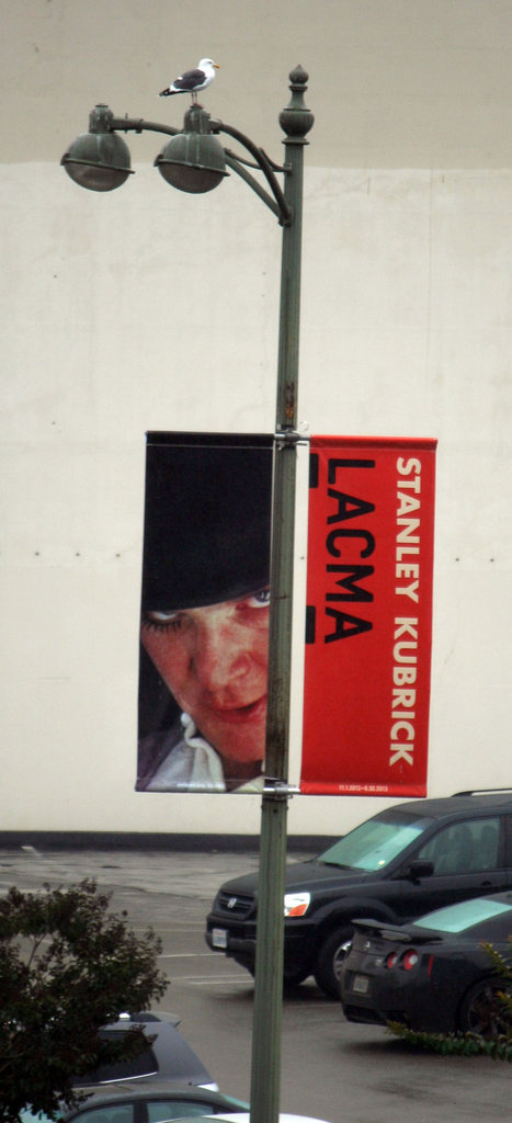 LACMA Kubrick (8242)