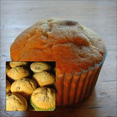 Panettone muffins