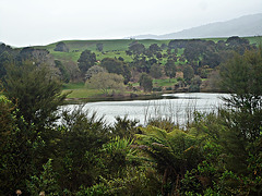 Above Waikato River near Jones Landing