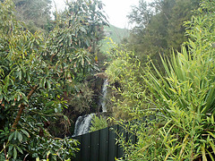 Waterfall near Jones Landing