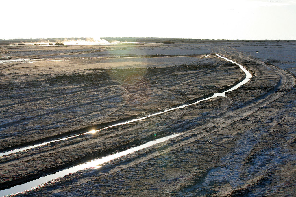 At The New Mud Volcanoes (8449)