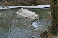 Une roche au milieu du ruisseau