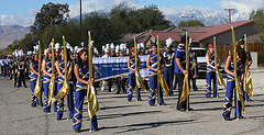 DHS High School Band (7517)