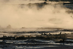 At The New Mud Volcanoes (8470)