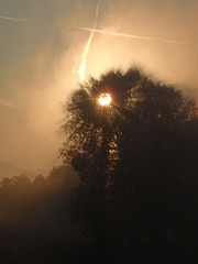 Morning Mist & Rays