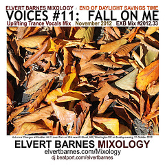 CDCover.Voices11.FallOnMe.Trance.EndDST.November2012