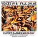 CDCover.Voices11.FallOnMe.Trance.EndDST.November2012