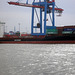 Feeder-Containerschiff   IRIS  BOLTEN