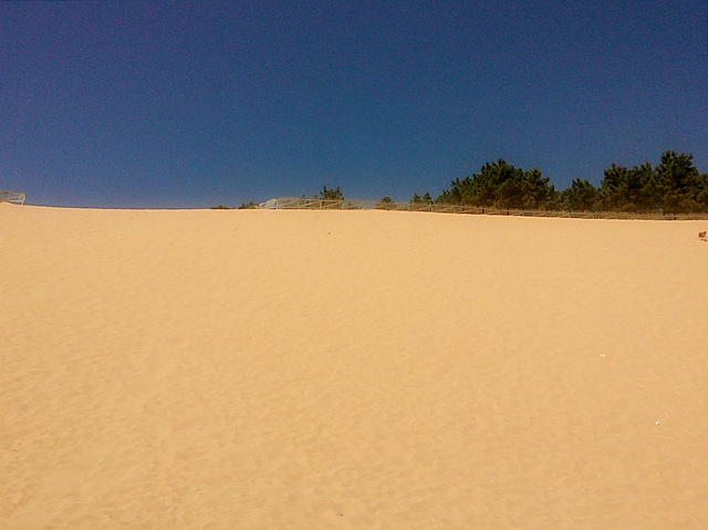 Dune (11)