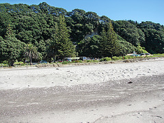 Pikowai camp from beach