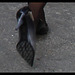 Dame cubaine en talons hauts / Cuban Lady in high heels - 5 février 2010.
