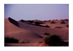 Dunes de sables . . .