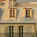 Toit et balcon, rue Crozatier Paris