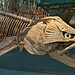 "Dinosaur" Fish – Carnegie Museum, Forbes Avenue, Pittsburgh, Pennsylvania
