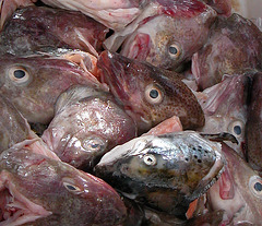 Fishes’s heads on the Saturday market