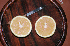 Brekkers: the now rare white grapefruit