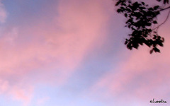 Pink clouds....