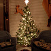 Christmas tree on screen porch - night 2008