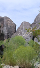 Three Rivers Petroglyphs 3254a