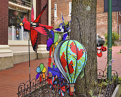 The State Bird – William Street at Princess Anne Street, Fredericksburg, Virginia