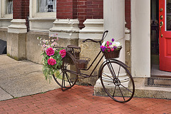 Petal Pushers – Corner of Princess Anne and William Streets, Fredericksburg, Virginia