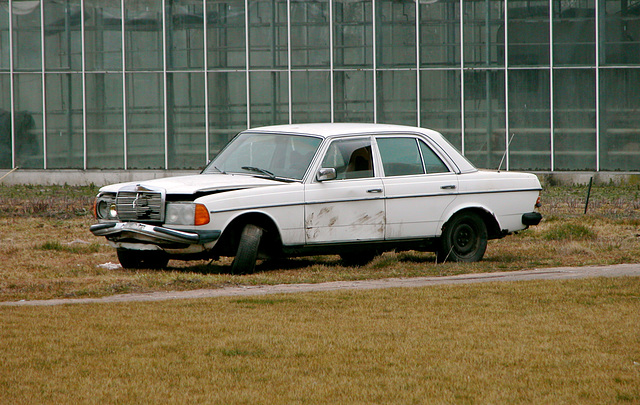 Ipernity Mercedes Benz W123 300d On Its Final Resting Place