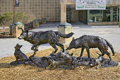 Timber Wolf Family Sculpture – Patuxent National Wildlife Refuge, Laurel, Maryland
