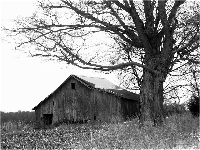 Barn, Saginaw Highway