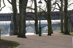 Trees and bridges