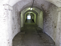 Along the tunnel