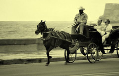Trotting on the Malecon, Havana