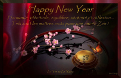 Happy New Year, Bonne Année, Feliz Año Nuevo !!