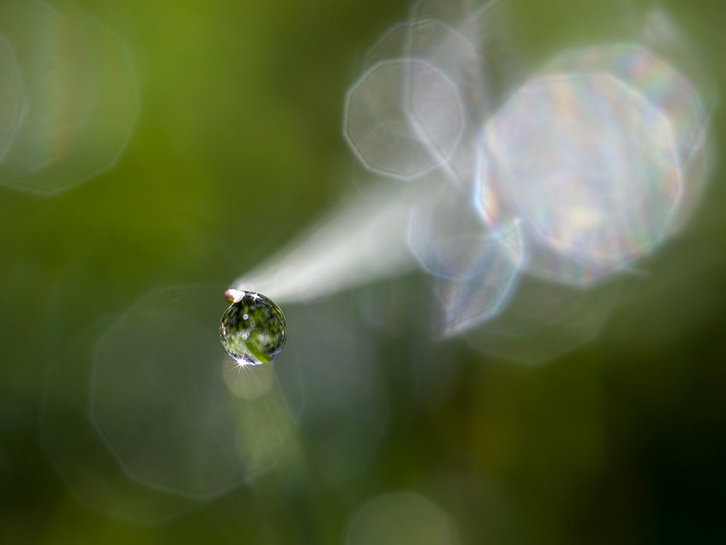 D is for Dazzling Droplet