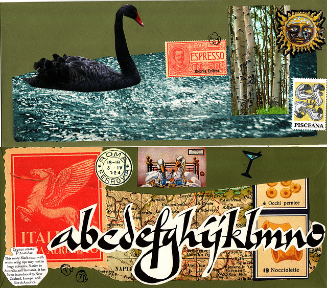 collage envelope #2: a black swan in italy