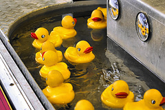 Pluck a Duck – Labour Day Festival, Greenbelt, Maryland
