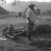 Cuban Farmer with Goats