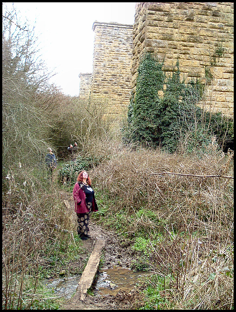 remains of the old railway viaduct