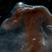 3D Visualisation Of The Horsehead Nebula