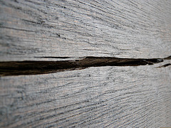 Dry Wood Texture 2