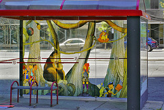 Bus Shelter – Réné-Lévesque Boulevard at Peel Street, Montréal, Québec