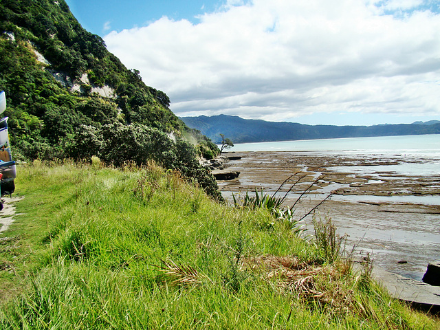 Te Araroa coastal view
