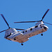 Boeing Vertol CH-46E Sea Knight